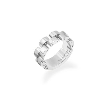 Double link ring (WG)